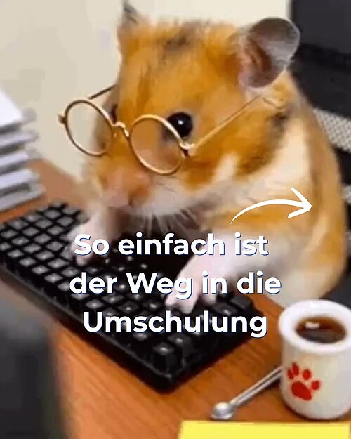 Du möchtest mit einer Umschulung beruflich neu durchstarten, weißt aber nicht... Du möchtest mit einer Umschulung beruflich neu durchstarten, weißt aber nicht...